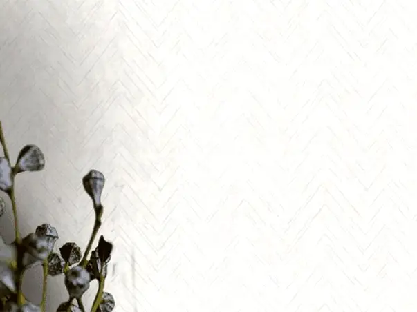 tapet alb marburg 32034