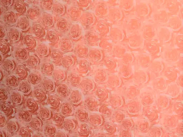 tapet autoadeziv Rosa