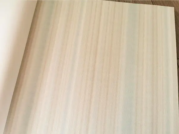 tapet erismann 1004818