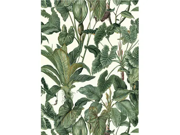 tapet frunze exotice erismann profi selection 630307