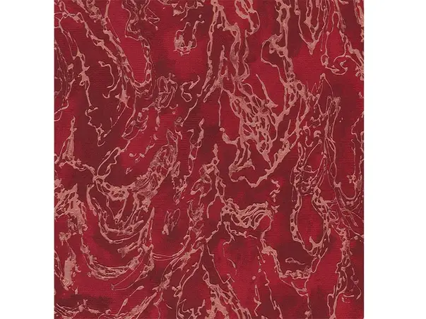 tapet modern tencuiala decorativa visinie