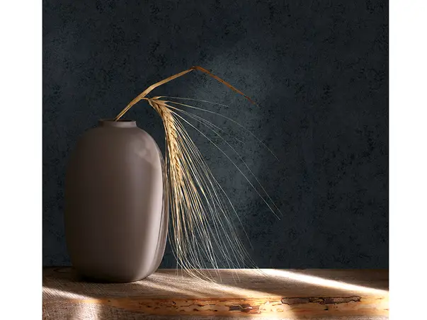 tapet negru imitatie decorativa