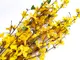 3-crengute-flori-galbene-forsythia-7590