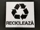 Sablon-reutilizabil-cu-marcaj-recicleaza-pentru-colectarea-selectiva-a-deseurilor-1-5982