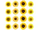 Stickere-set-16-bucati-floarea-soarelui-simulare_1-9952