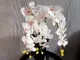 aranjament-orhidee-alba-75-cm-7475