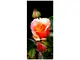 autocolant-usa-trandafir-2-3827