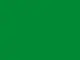 autocolant-verde-deschis-light-green-lucios-oracal-641g-062-rola-63cm-300m-s2-9292