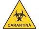 carantina-7902