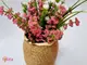 decoratiune-bucatarie-ghiveci-cu-flori-roz-folina-7330