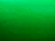 fetru-la-metru-pasla-verde-cu-grosime-de-1-mm-la-ime-100cm-4-5946