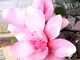 floare-articiala-magnolie-roz.JPG