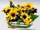 flori-artificiale-floarea-soarelui-in-cutie-de-lemn-7684