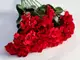 flori-artificiale-rosii-60-cm-inaltime-5957