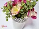 flori-artificiale-roz-in-ghiveci-alb-decoratiune-balcon-si-bucatarie-2888