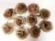 flori-din-iuta-5cm-set-cu-10-bucati-5029