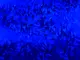 folie-decorativa-albastra-1733