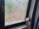 folie-geam-folina-sablare-cu-model-floral-maro-4930