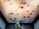 folie-sablare-decorativa-flori-albastre-ume-4982