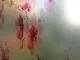 folie-sablare-geam-autoadeziva-floare-rosie-2171