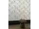 folie-sablare-geam-termopan-100-cm-latime-5419
