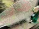 folie-sablare-model-floral-aurora-9430