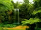 fototapet-cascada-in-decor-verde-9707