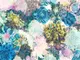 fototapet-floral-frisky-flowers-2018