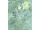 fototapet-verde-mint-komar-flow-reflection-8809
