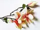 magnolie-artificiala-crem-inalta-80-cm-2517