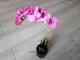 orhidee-roz-olivia-3050