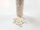 scoici-decorative-melci-albi-8804