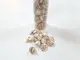 scoici-decorative-melci-pestriti-9717