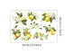 set-8-stickere-decor-mobila-si-perete-bucatarie-1791
