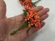 stamine decorative colorate