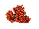 stamine decorative portocalii