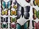 sticker-3D-fluturi-colorati-papillon-2949