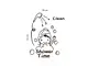 sticker-cabina-dus-shower-time-70-58-cm-8794