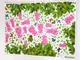 sticker-perete-bordura-flori-roz-4050
