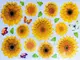 stickere-flori-folina-floarea-soarelui-2204