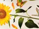 stickere-perete-floarea-soarelui-si-fluturi-5007
