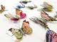 stickere-perete-fluturi-3d-silvia-5165