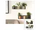 stickere-perete-polite-cu-plante-2570