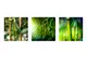 tablou-bambus-verde-7898