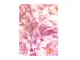 tablou-floral-bujori-roz-cu-rama-alba-5569