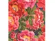 tapet-floral-home-design-408355-7384