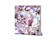 tapet-floral-lila-cu-magnolii-marburg-kyoto-47463-5546