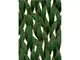 tapet-modern-verde-spotlight-1010407-1258