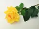 trandafir-artificial-galben-50-cm-7359