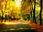 Fototapet peisaj de toamnă, Sunny day in the Autumn Park, 400x260 cm